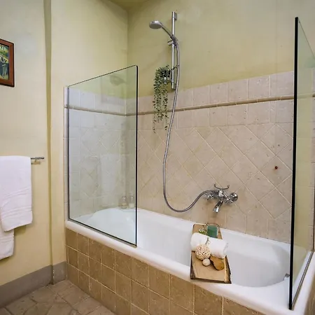 Apartment Rose's Palace Cortona